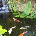 Cascade Water Features