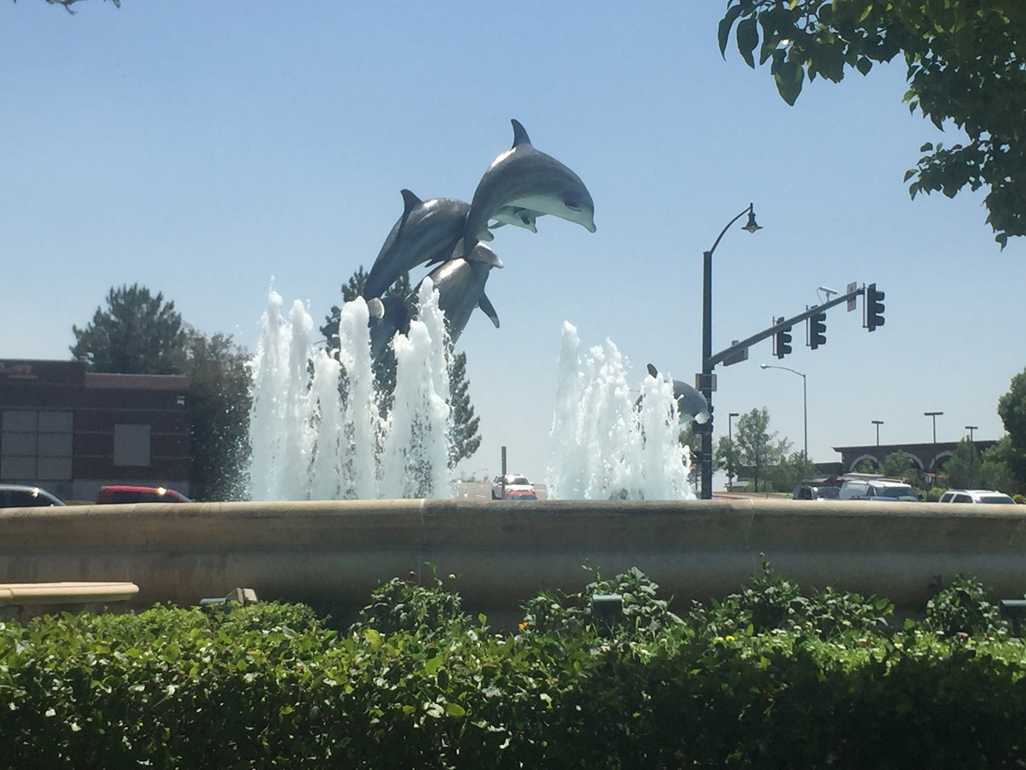 Jumping Dolphins over Spraying Water